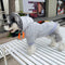 Graphic Crisp Pup Hoodie