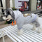 Graphic Icy Dog Hoodie
