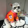 Couture Dog