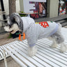Graphic Core Pup Hoodie