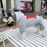Graphic Royal Dog Hoodie