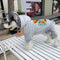 Bear Iconic Pup Hoodie