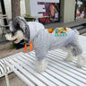Bear Iconic Pup Hoodie