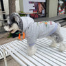 Graphic Sauce Canine Hoodie
