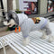 Letter Dope Pup Hoodie