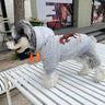 Graphic Heat Doggo Hoodie