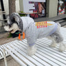 Graphic Fly Doggo Hoodie