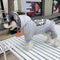 Graphic Edge Puppy Hoodie
