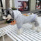 Graphic Snug Doggo Hoodie
