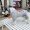 Graphic Chic Doggo Hoodie
