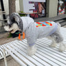 Graphic Chic Doggo Hoodie