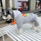 Floral Crisp Pup Hoodie