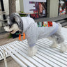 Graffiti Bold Pup Hoodie
