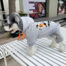 Graphic Trend Dog Hoodie