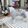 Graphic Luxe Puppy Hoodie