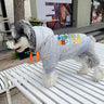 Eyes Print Dog Hoodie