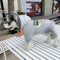 Graphic Edge Pup Hoodie