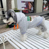 Graphic Edge Pup Hoodie