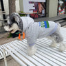 Stripe Elite Pup Hoodie
