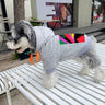 Graphic Smart Dog Hoodie