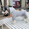 Graphic Clean Doggo Hoodie