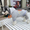 Graphic Vibe Puppy Hoodie