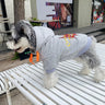 Graphic Vibe Puppy Hoodie