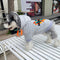 Heart Slay Pup Hoodie