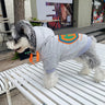 Graphic Super Doggo Hoodie
