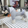 Graphic Steez Pup Hoodie