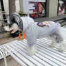 Graphic Elite Puppy Hoodie