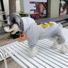 Bear Rare Pup Hoodie