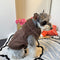 Monogram Vest Dog