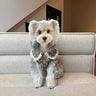 Monogram Lace Collar Dog Dress