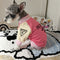 Triangle Dog