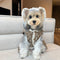 Monogrambowdress Dog