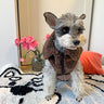 Monogram Vest Dog