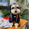 Graphic Glam Dog Hoodie