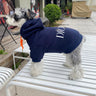 Pin Print Dog Hoodie
