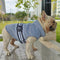 Polka Dot Sport Dog Shirt