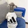 Citytee Dog