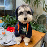 Cat Glam Pup Hoodie