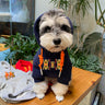 Tiger Deluxe Pup Hoodie