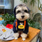 Graphic Viral Pup Hoodie