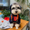 Graphic Royal Dog Hoodie