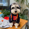 Graphic Royal Dog Hoodie