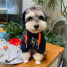 Girl Iconic Pup Hoodie