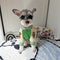Heritage Clean Pup Hoodie