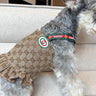 Monogramwoven Strap Dressdress Dog