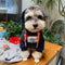 Graphic Iconic Puppy Hoodie